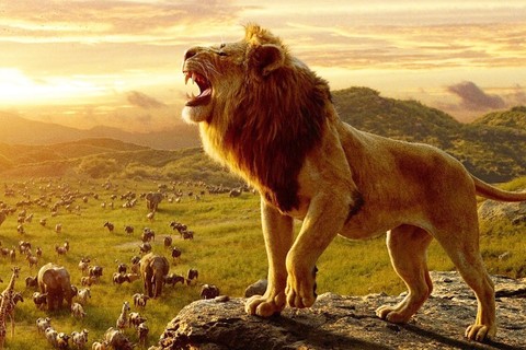 [Film Review] The Lion King