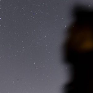 A blurry silhouette of a person against an early evening sky. The stars are bright and in the left corner is a glimpse of a tree